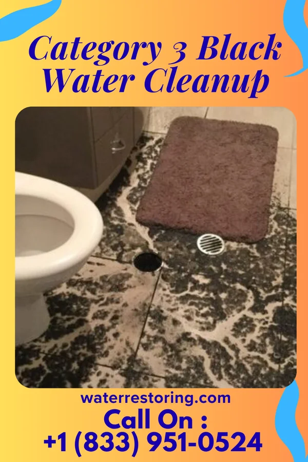 Category 3 Black Water Cleanup in Vinton, VA
