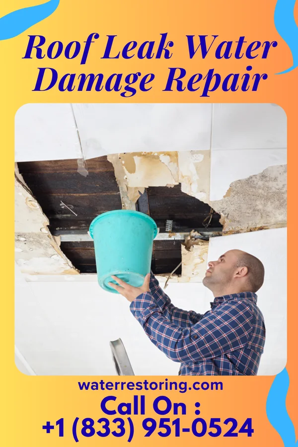 Roof Leak Water Damage Repair in Vinton, VA