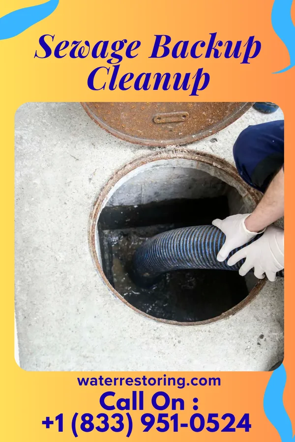 Sewage Backup Cleanup in Vinton, VA