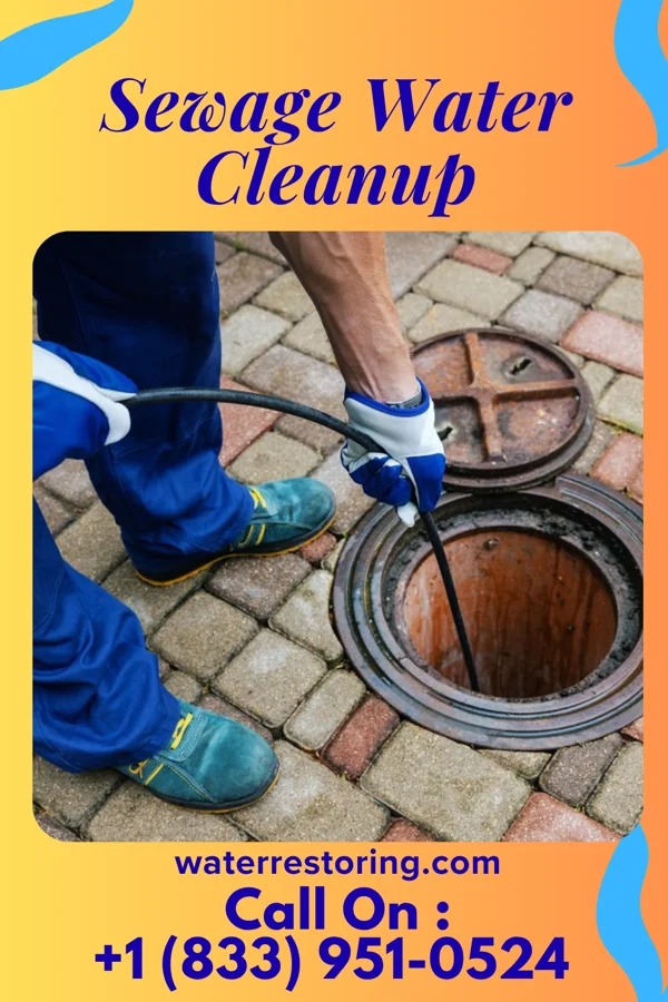 Sewage Water Cleanup in Vinton, VA